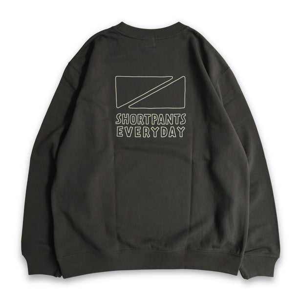 HAND FLAG LIGHT SWEAT