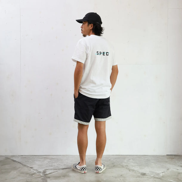 BOARD SHORTS 3LINE BLACK×GRAY