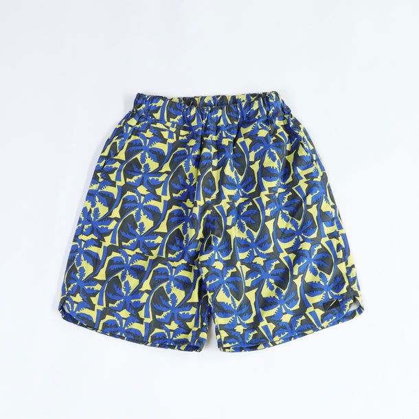 Washingtonia Palm BLUE