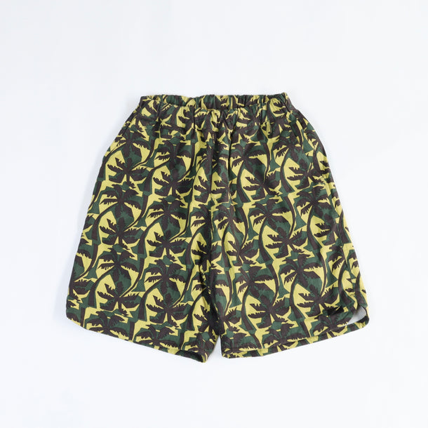 Washingtonia Palm KHAKI